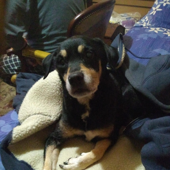 Meet your Posher, Debbie - Picture 2 of 2